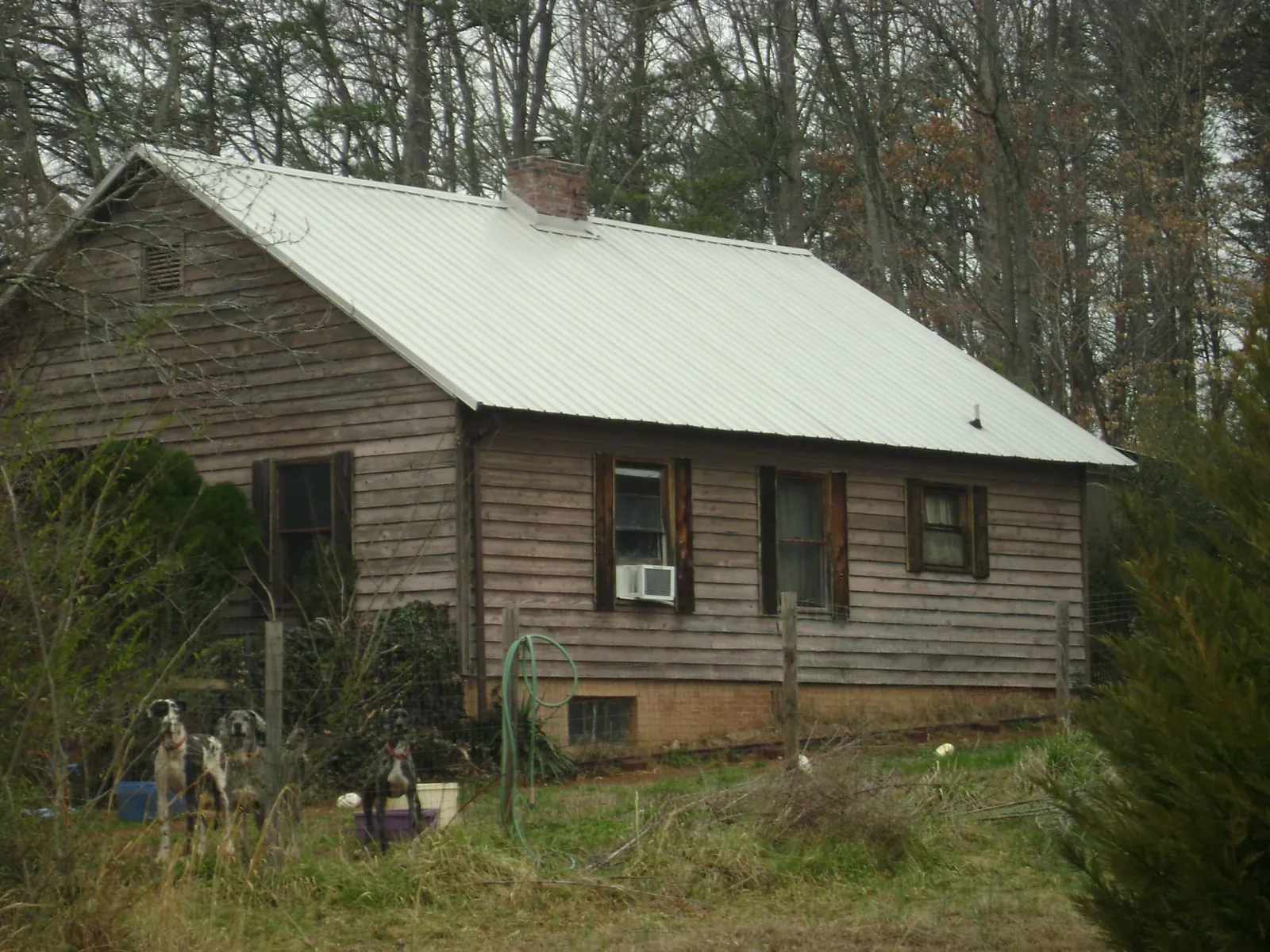 White metal roof on an old wood sided farmhouse, from a Asphalt Shingle Roof Repair job in Ganado